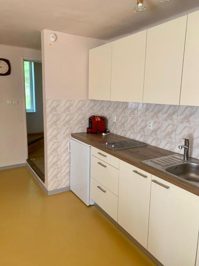 Apartment Jane Сенец Экстерьер фото